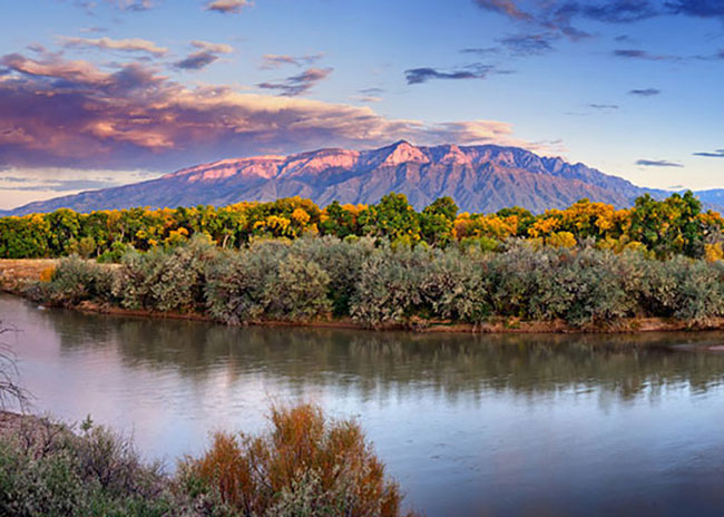 New Mexico